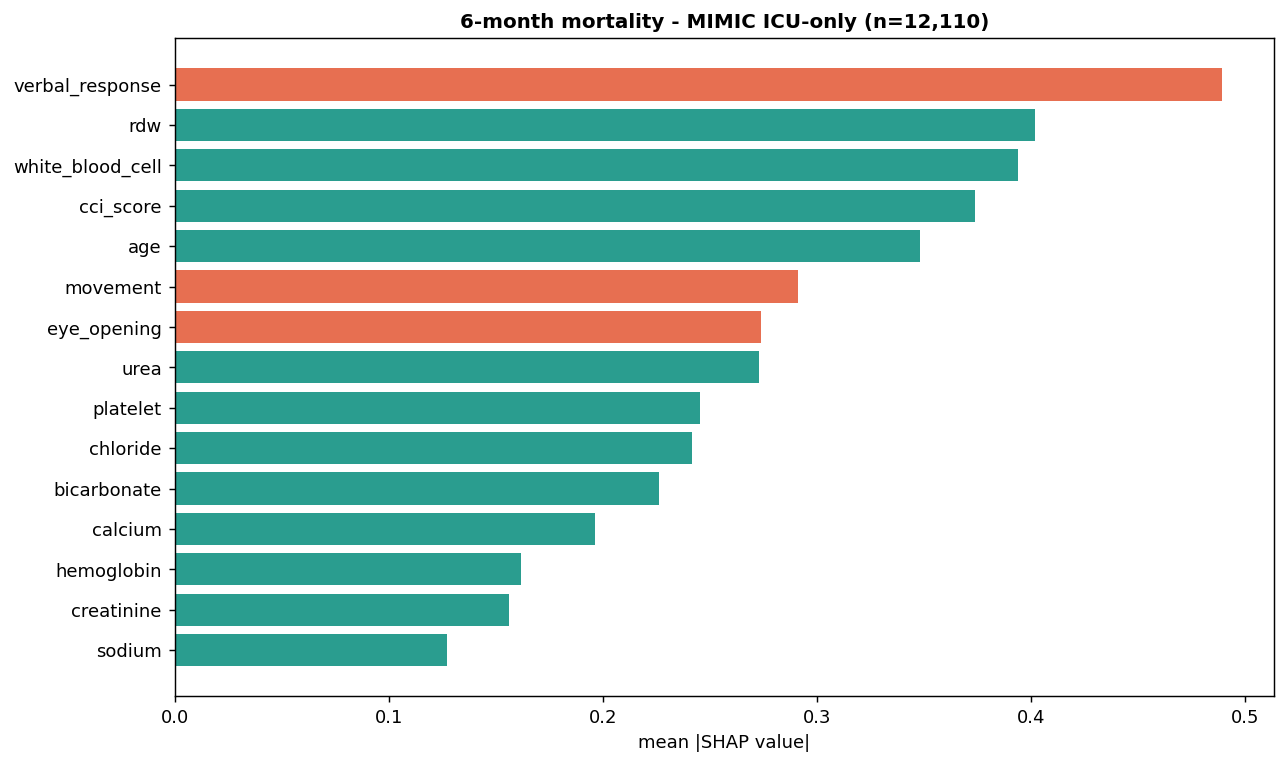 SHAP bar chart of mean absolute SHAP values for the ICU-only MIMIC-IV six-month model